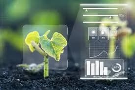 Plant Growth Monitoring with OpenCV